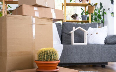 Importación de Menaje de Casa